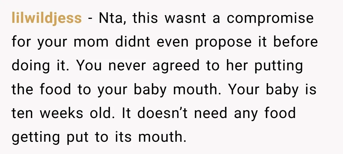 lilwildjess - Nta, this wasnt a compromise for your mom didnt even propose it before doing it. You never agreed to her putting the food to your baby mouth. Your...