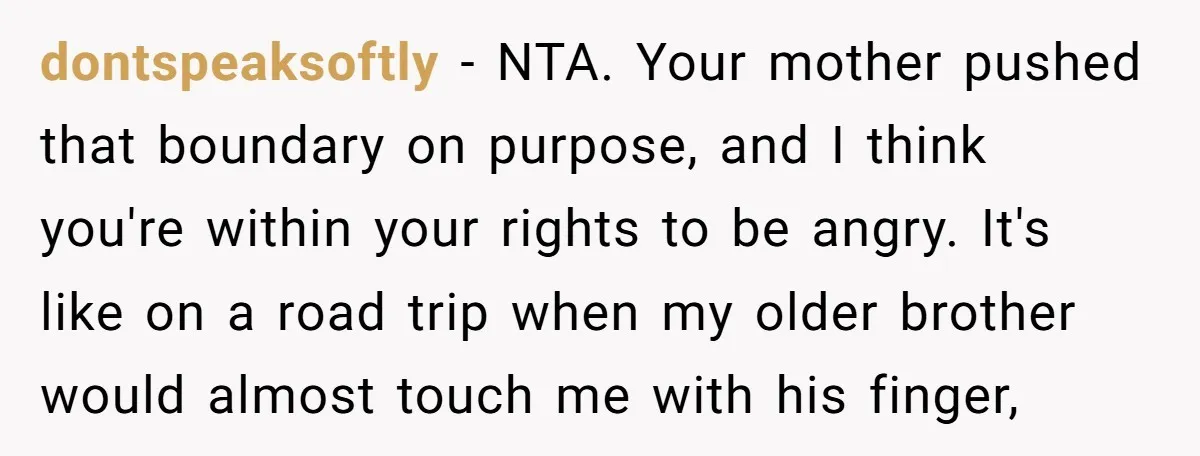 dontspeaksoftly - NTA. Your mother pushed that boundary on purpose, and I think you're within your rights to be angry. It's like on a road trip when my older brother...