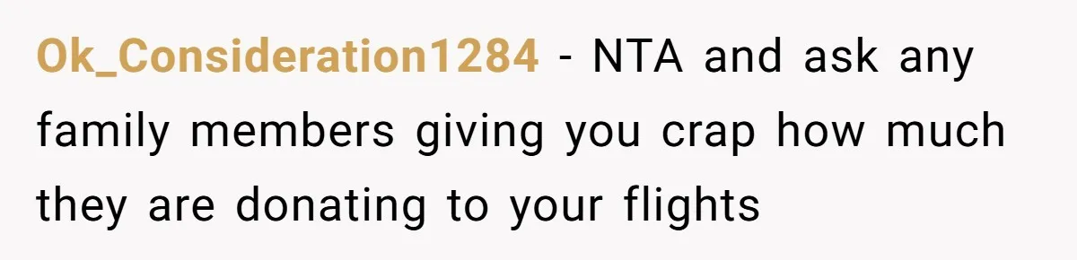 Ok_Consideration1284 − NTA and ask any family members giving you crap how much they are donating to your flights
