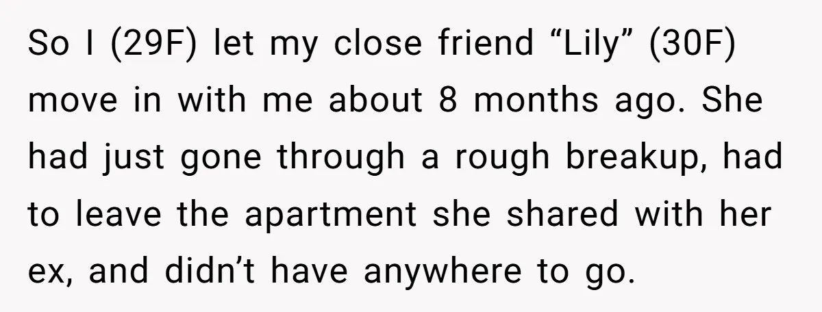 So I (29F) let my close friend “Lily” (30F) move in with me about 8 months ago. She had just gone through a rough breakup, had to leave the apartment...