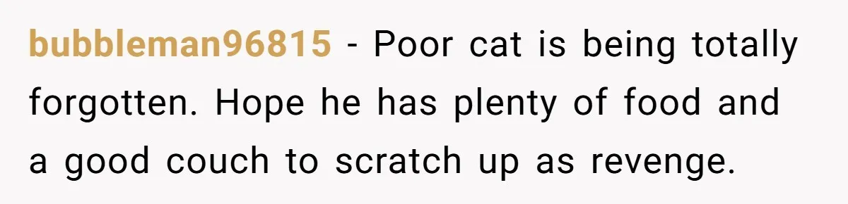 bubbleman96815 − Poor cat is being totally forgotten. Hope he has plenty of food and a good couch to scratch up as revenge.