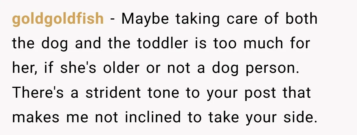 goldgoldfish − Maybe taking care of both the dog and the toddler is too much for her, if she's older or not a dog person. There's a strident tone to...