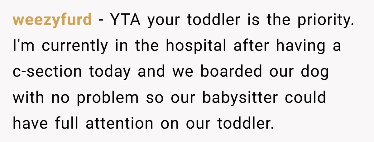 weezyfurd − YTA your toddler is the priority. I'm currently in the hospital after having a c-section today and we boarded our dog with no problem so our babysitter could...