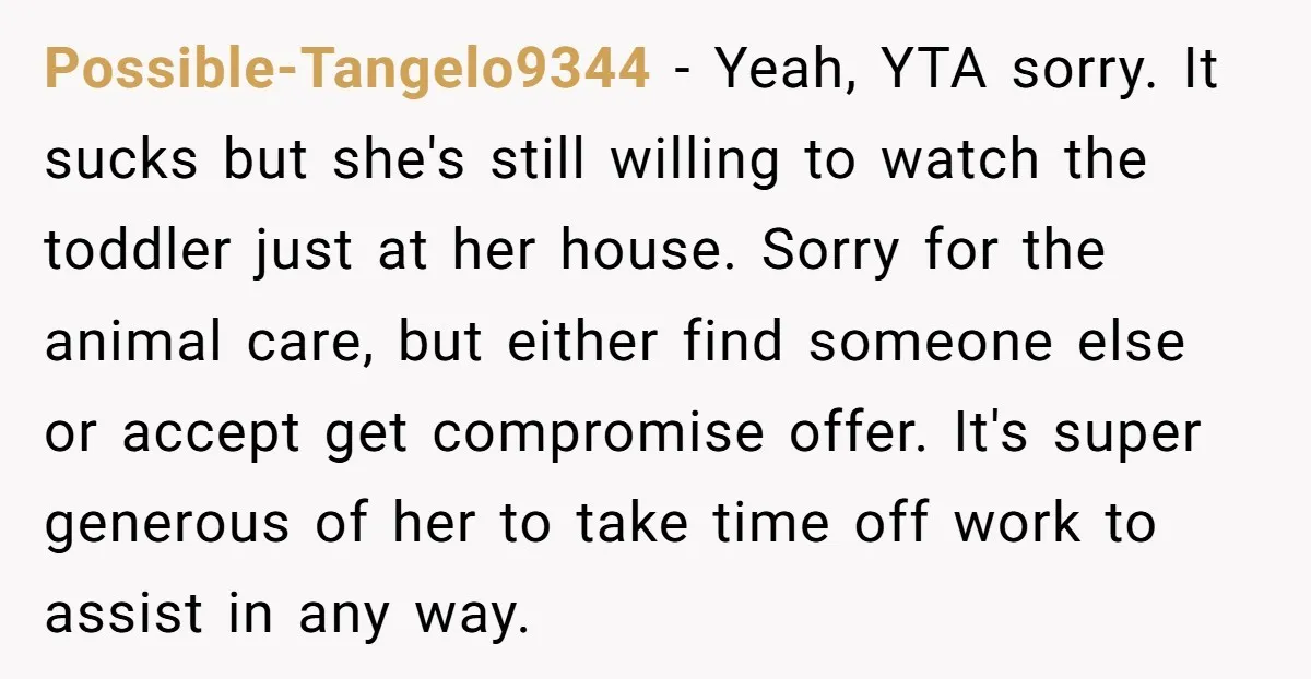Possible-Tangelo9344 − Yeah, YTA sorry. It sucks but she's still willing to watch the toddler just at her house. Sorry for the animal care, but either find someone else or...