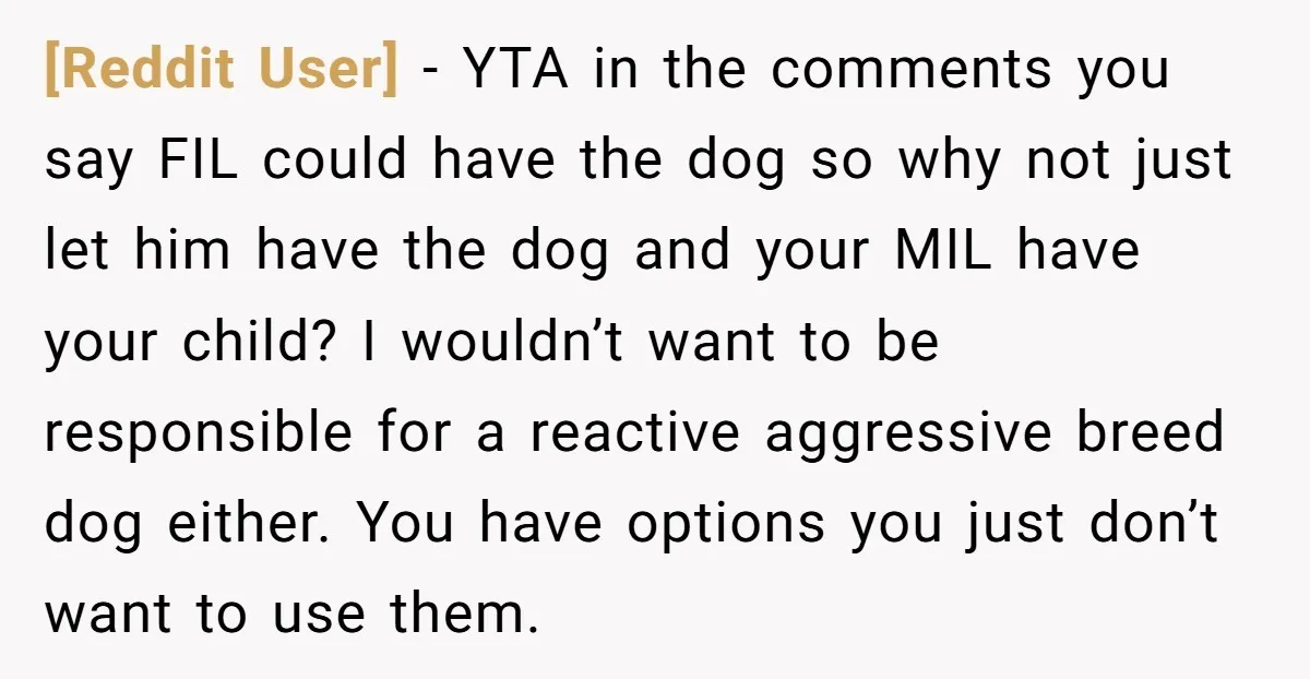 [Reddit User] − YTA in the comments you say FIL could have the dog so why not just let him have the dog and your MIL have your child? I...