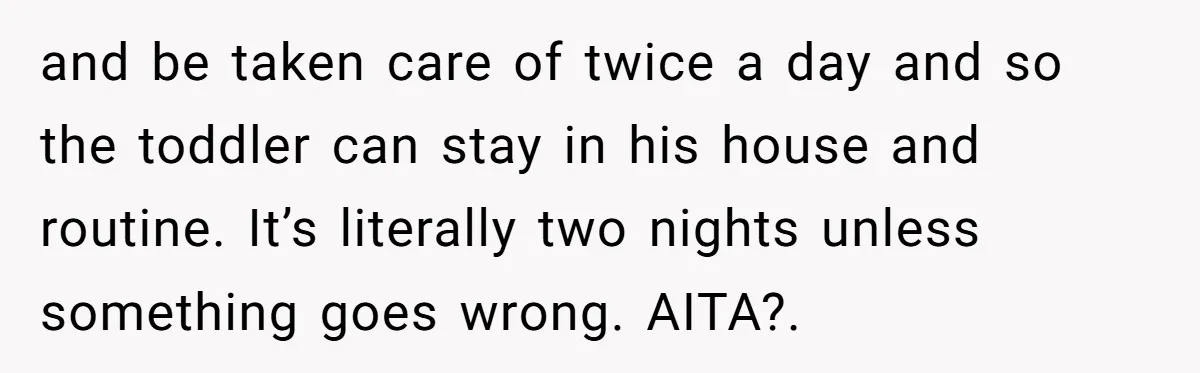 and be taken care of twice a day and so the toddler can stay in his house and routine. It’s literally two nights unless something goes wrong. AITA?.