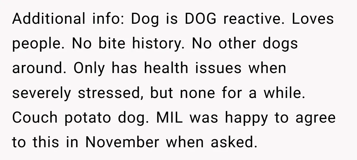 Additional info: Dog is DOG reactive. Loves people. No bite history. No other dogs around. Only has health issues when severely stressed, but none for a while. Couch potato dog....