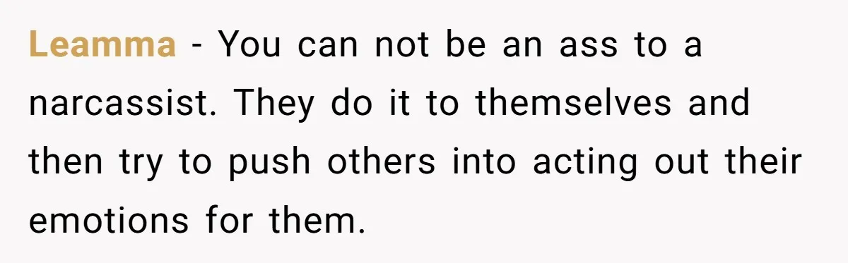 Leamma − You can not be an ass to a narcassist. They do it to themselves and then try to push others into acting out their emotions for them.