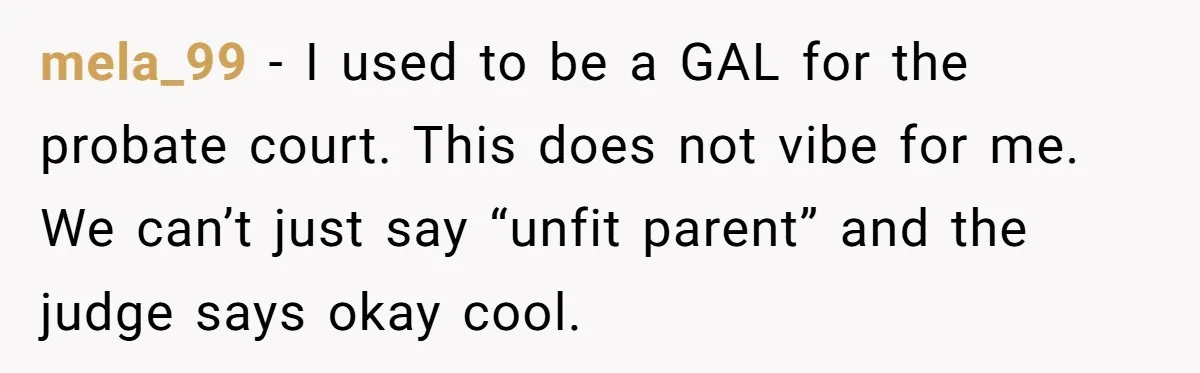 mela_99 − I used to be a GAL for the probate court. This does not vibe for me. We can’t just say “unfit parent” and the judge says okay cool.