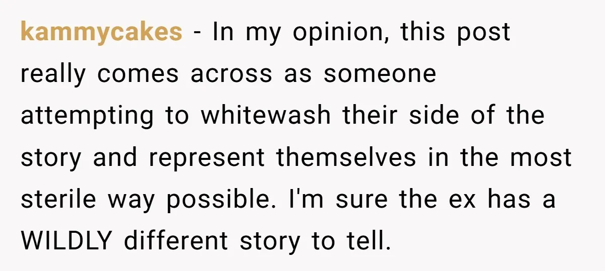 kammycakes − In my opinion, this post really comes across as someone attempting to whitewash their side of the story and represent themselves in the most sterile way possible. I'm...