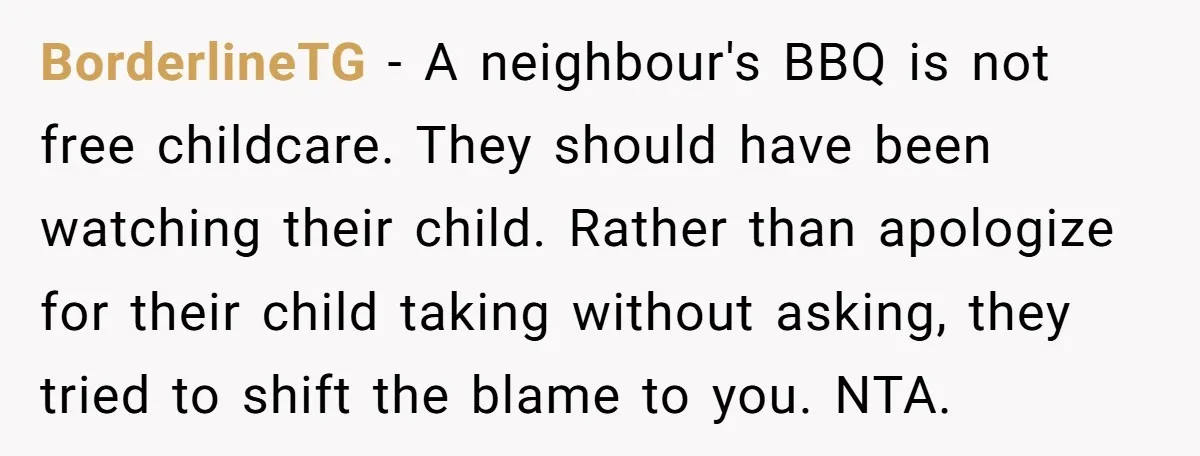 BorderlineTG − A neighbour's BBQ is not free childcare. They should have been watching their child. Rather than apologize for their child taking without asking, they tried to shift the...