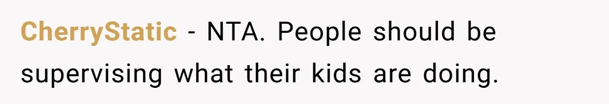 CherryStatic − NTA. People should be supervising what their kids are doing.