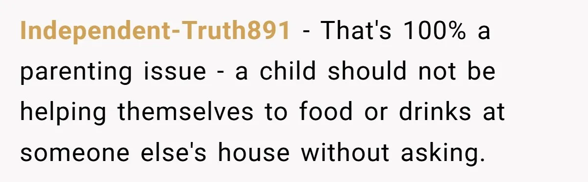 Independent-Truth891 − That's 100% a parenting issue - a child should not be helping themselves to food or drinks at someone else's house without asking.