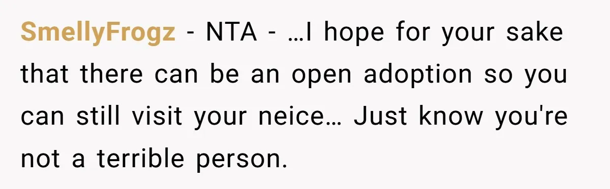 SmellyFrogz − NTA - …I hope for your sake that there can be an open adoption so you can still visit your neice… Just know you're not a terrible person.