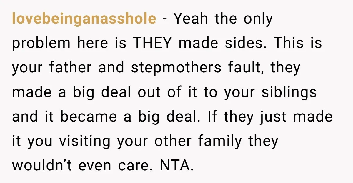 lovebeinganasshole − Yeah the only problem here is THEY made sides. This is your father and stepmothers fault, they made a big deal out of it to your siblings and...