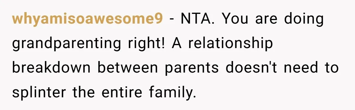 whyamisoawesome9 − NTA. You are doing grandparenting right! A relationship breakdown between parents doesn't need to splinter the entire family.