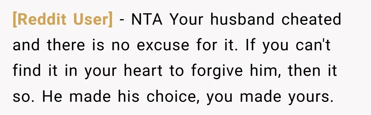 [Reddit User] − NTA Your husband cheated and there is no excuse for it. If you can't find it in your heart to forgive him, then it so. He made...