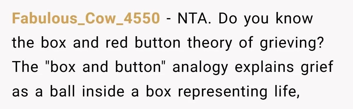 Fabulous_Cow_4550 − NTA. Do you know the box and red button theory of grieving? The "box and button" analogy explains grief as a ball inside a box representing life,