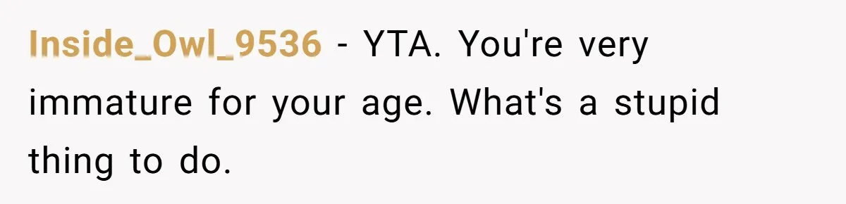 Inside_Owl_9536 − YTA. You're very immature for your age. What's a stupid thing to do.