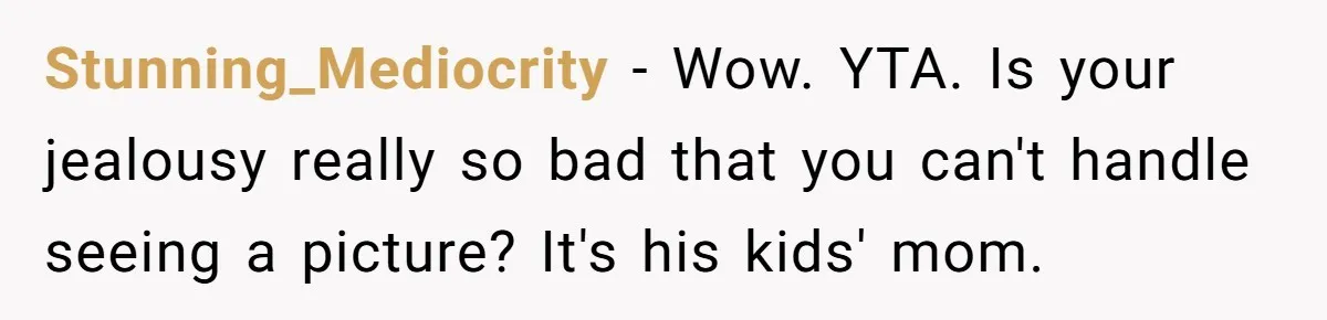 Stunning_Mediocrity − Wow. YTA. Is your jealousy really so bad that you can't handle seeing a picture? It's his kids' mom.