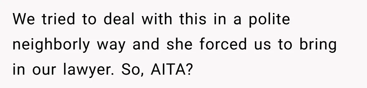 We tried to deal with this in a polite neighborly way and she forced us to bring in our lawyer. So, AITA?