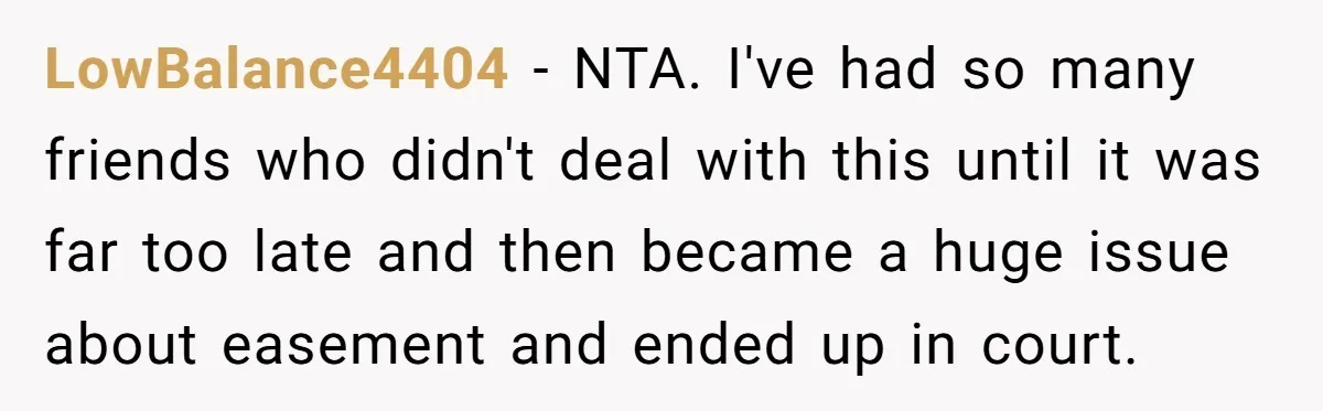 LowBalance4404 − NTA. I've had so many friends who didn't deal with this until it was far too late and then became a huge issue about easement and ended up...