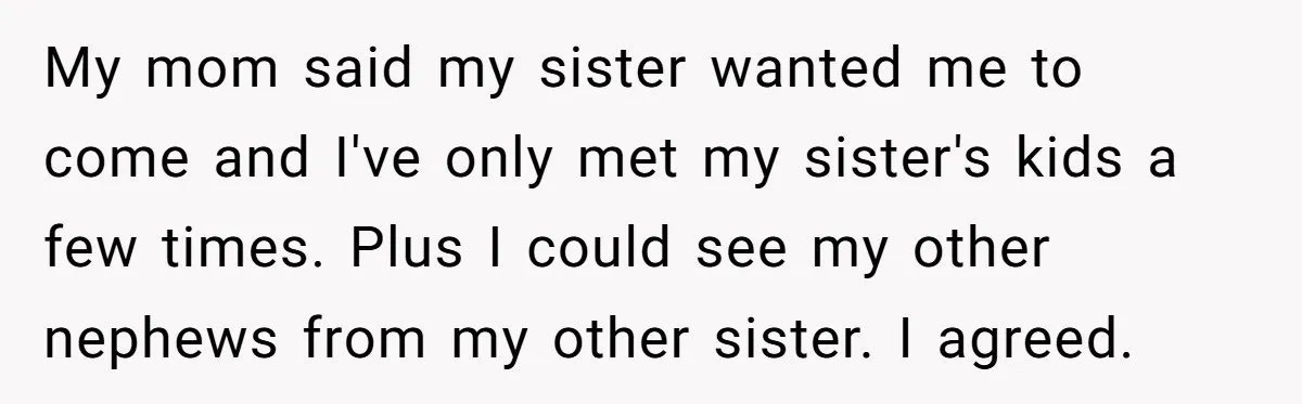 My mom said my sister wanted me to come and I've only met my sister's kids a few times. Plus I could see my other nephews from my other sister....