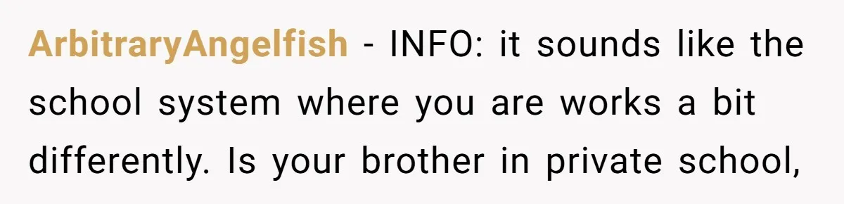 ArbitraryAngelfish − INFO: it sounds like the school system where you are works a bit differently. Is your brother in private school,