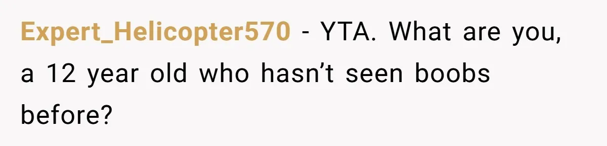 Expert_Helicopter570 − YTA. What are you, a 12 year old who hasn’t seen boobs before?