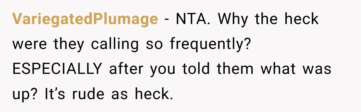VariegatedPlumage − NTA. Why the heck were they calling so frequently? ESPECIALLY after you told them what was up? It’s rude as heck.