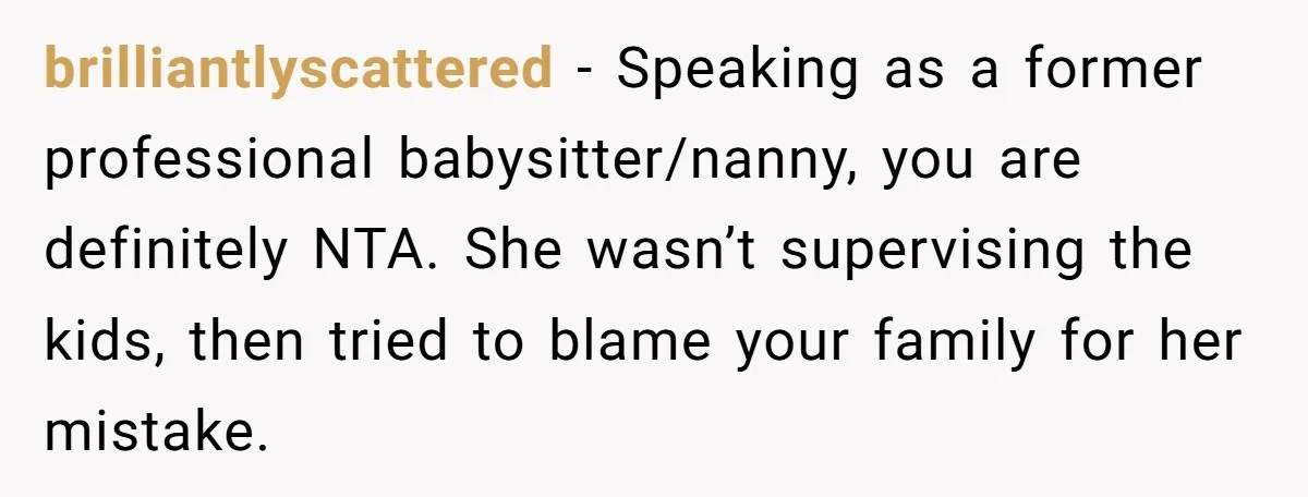 brilliantlyscattered − Speaking as a former professional babysitter/nanny, you are definitely NTA. She wasn’t supervising the kids, then tried to blame your family for her mistake.
