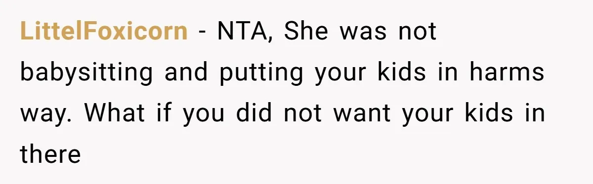 LittelFoxicorn − NTA, She was not babysitting and putting your kids in harms way. What if you did not want your kids in there