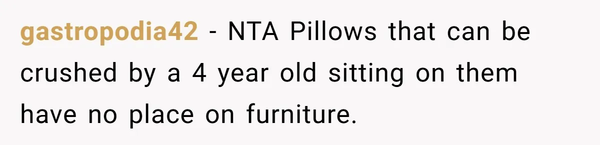 gastropodia42 − NTA Pillows that can be crushed by a 4 year old sitting on them have no place on furniture.