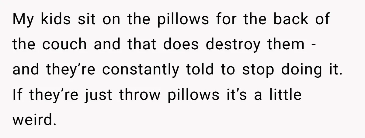 My kids sit on the pillows for the back of the couch and that does destroy them - and they’re constantly told to stop doing it. If they’re just throw...