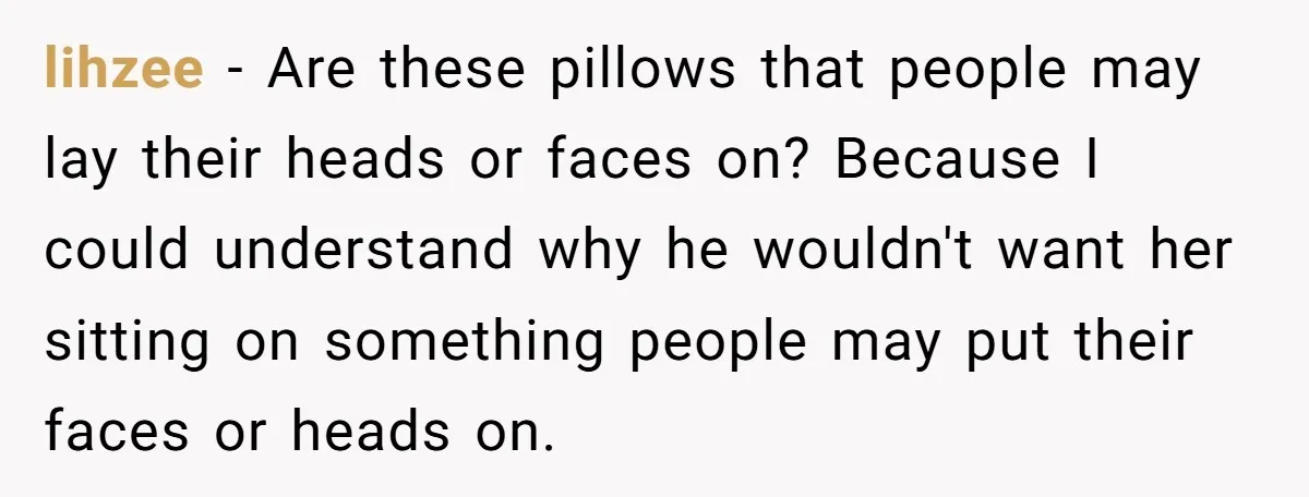 lihzee − Are these pillows that people may lay their heads or faces on? Because I could understand why he wouldn't want her sitting on something people may put their...