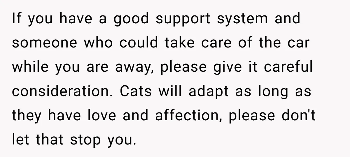 If you have a good support system and someone who could take care of the car while you are away, please give it careful consideration. Cats will adapt as long...