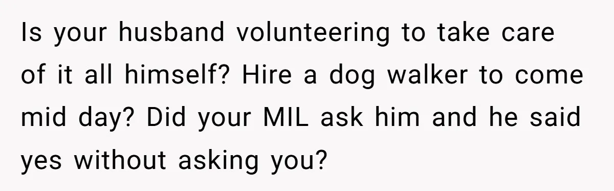 Is your husband volunteering to take care of it all himself? Hire a dog walker to come mid day? Did your MIL ask him and he said yes without asking...