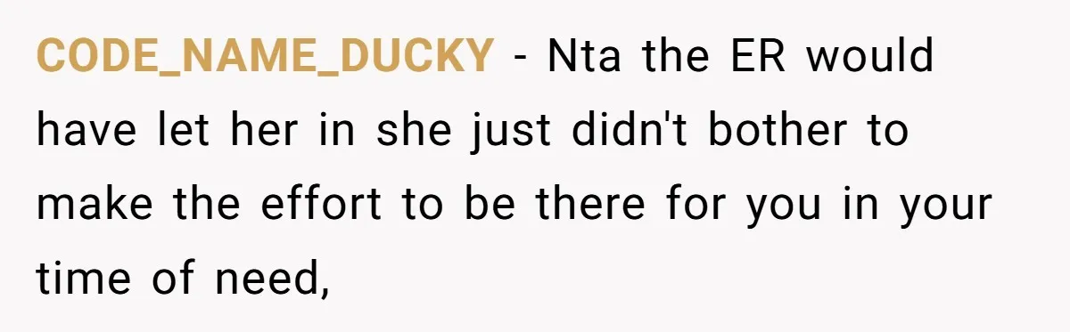 CODE_NAME_DUCKY − Nta the ER would have let her in she just didn't bother to make the effort to be there for you in your time of need,