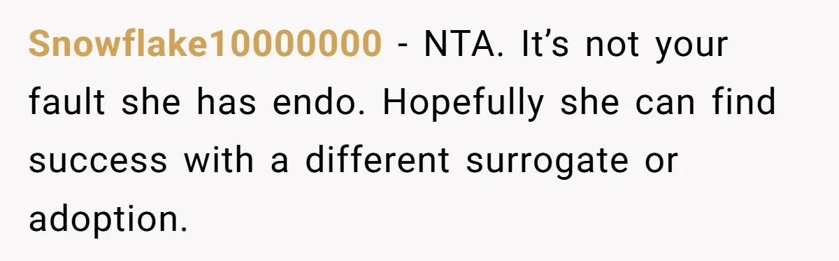 Snowflake10000000 − NTA. It’s not your fault she has endo. Hopefully she can find success with a different surrogate or adoption.
