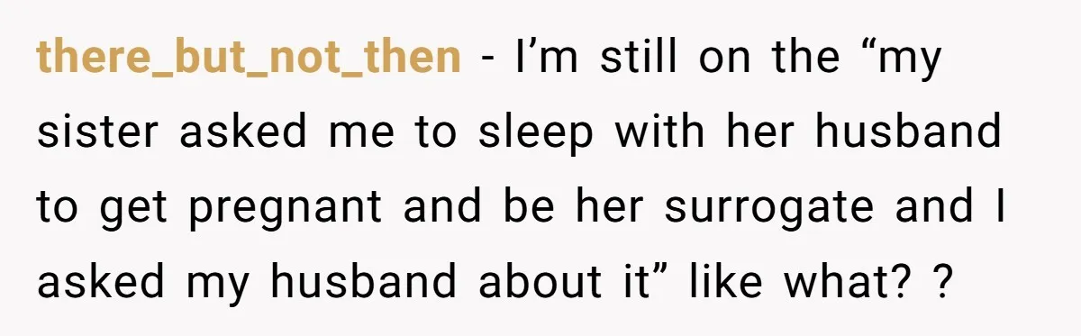 there_but_not_then − I’m still on the “my sister asked me to sleep with her husband to get pregnant and be her surrogate and I asked my husband about it” like...