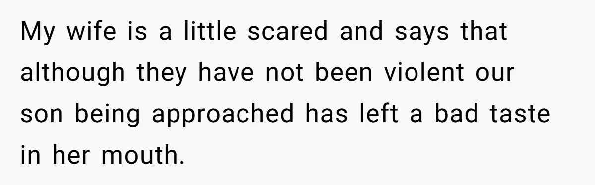 My wife is a little scared and says that although they have not been violent our son being approached has left a bad taste in her mouth.