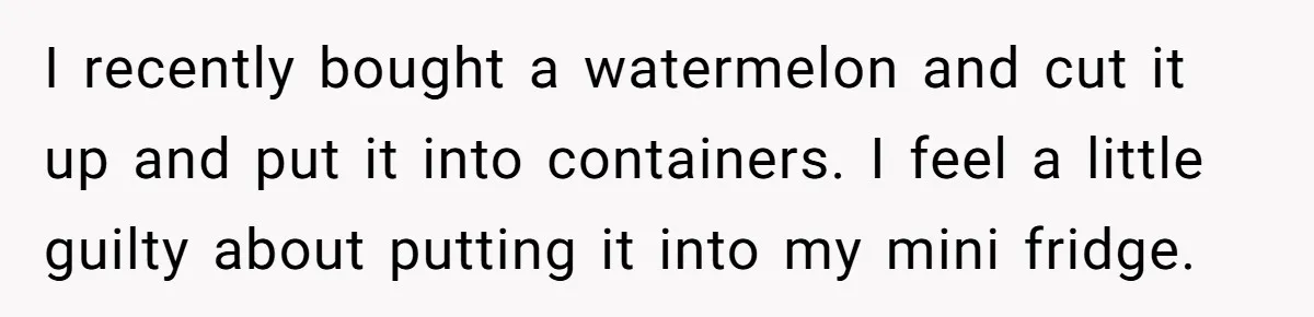 I recently bought a watermelon and cut it up and put it into containers. I feel a little guilty about putting it into my mini fridge.