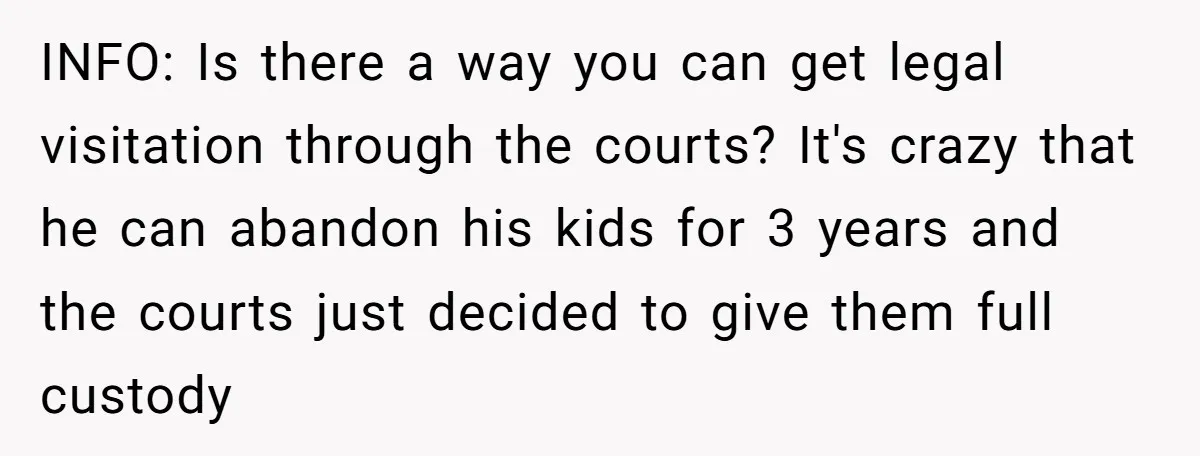 INFO: Is there a way you can get legal visitation through the courts? It's crazy that he can abandon his kids for 3 years and the courts just decided to...