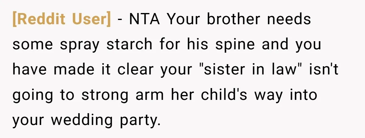 [Reddit User] − NTA Your brother needs some spray starch for his spine and you have made it clear your "sister in law" isn't going to strong arm her child's...