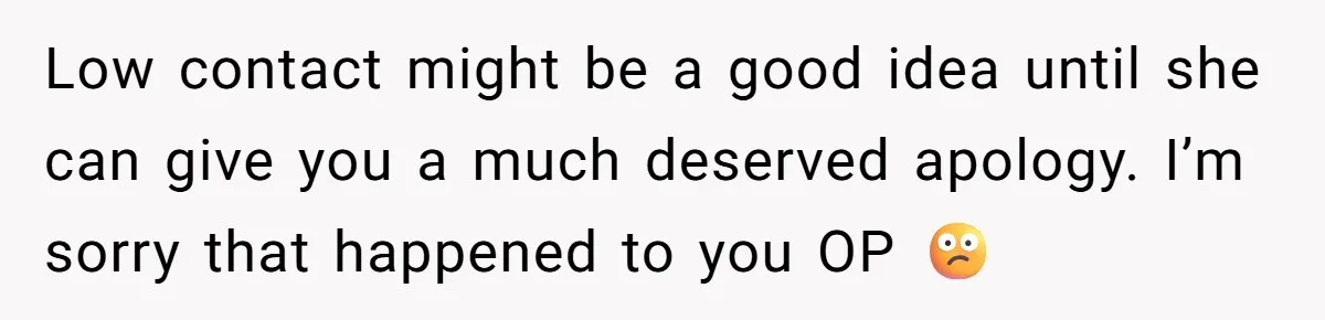 Low contact might be a good idea until she can give you a much deserved apology. I’m sorry that happened to you OP 😕