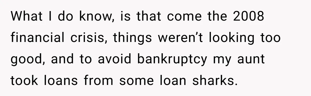 What I do know, is that come the 2008 financial crisis, things weren’t looking too good, and to avoid bankruptcy my aunt took loans from some loan sharks.
