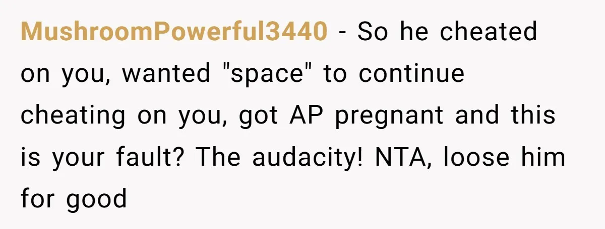 MushroomPowerful3440 − So he cheated on you, wanted "space" to continue cheating on you, got AP pregnant and this is your fault? The audacity! NTA, loose him for good