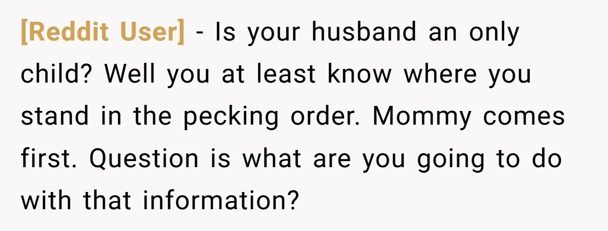 [Reddit User] − Is your husband an only child? Well you at least know where you stand in the pecking order. Mommy comes first. Question is what are you going...