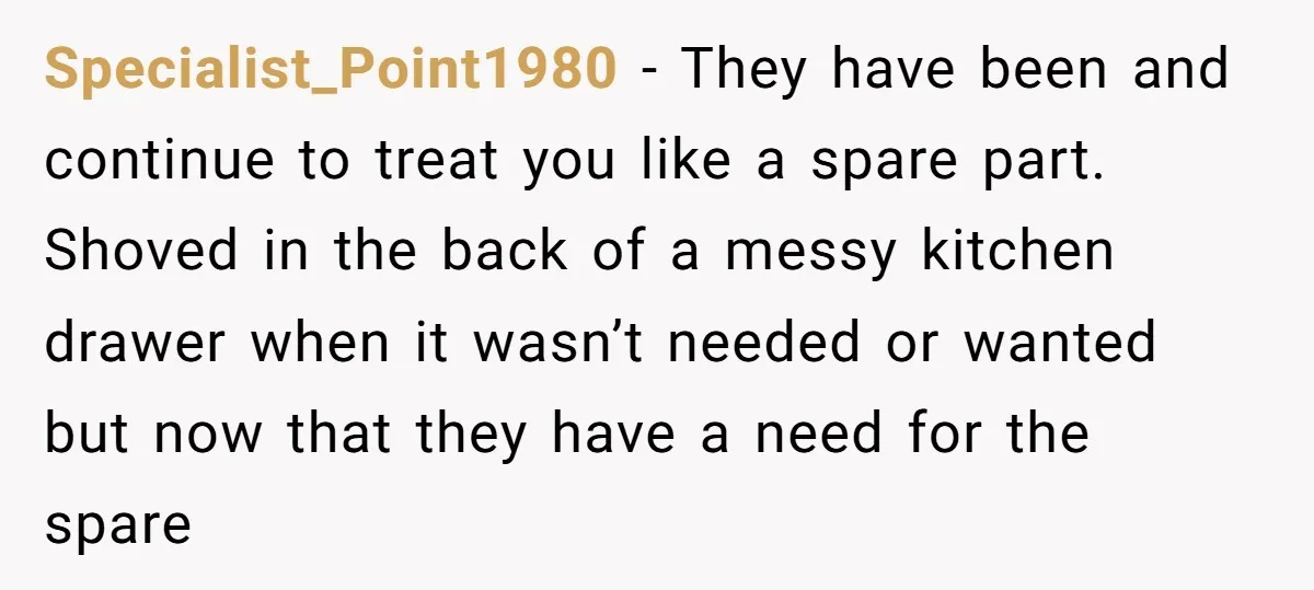 Specialist_Point1980 − They have been and continue to treat you like a spare part. Shoved in the back of a messy kitchen drawer when it wasn’t needed or wanted but...