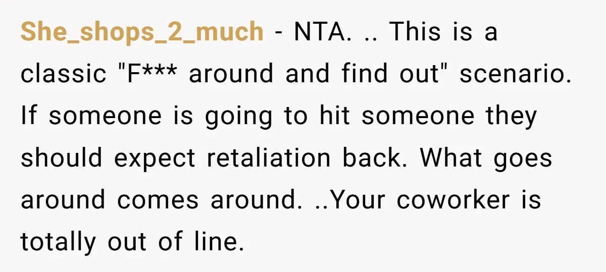 She_shops_2_much − NTA. .. This is a classic "F*** around and find out" scenario. If someone is going to hit someone they should expect retaliation back. What goes around comes...